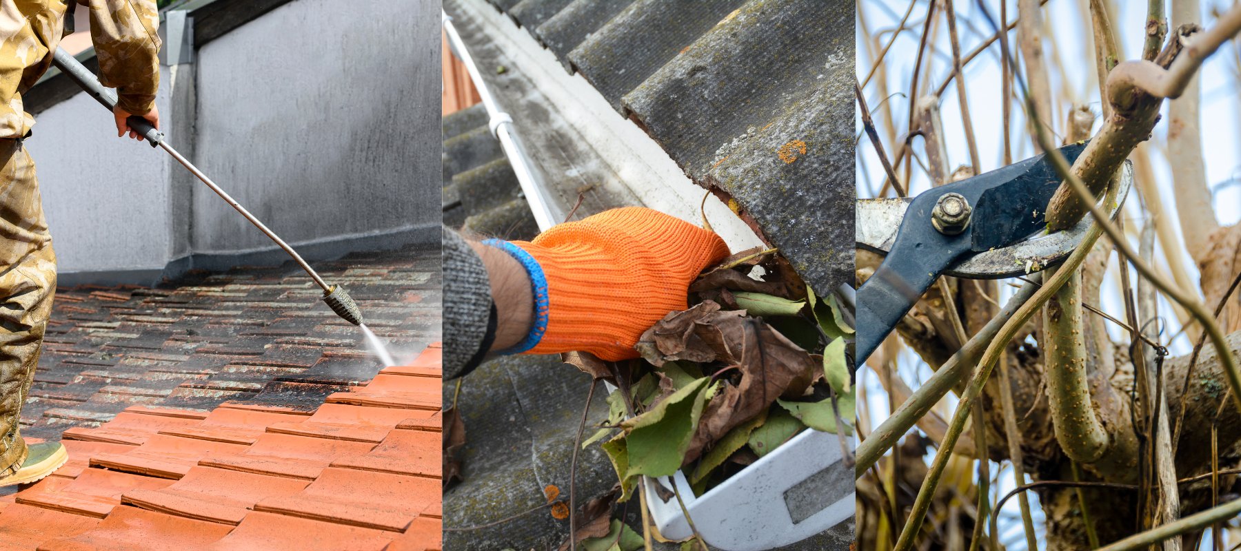 Maintenance of a roof